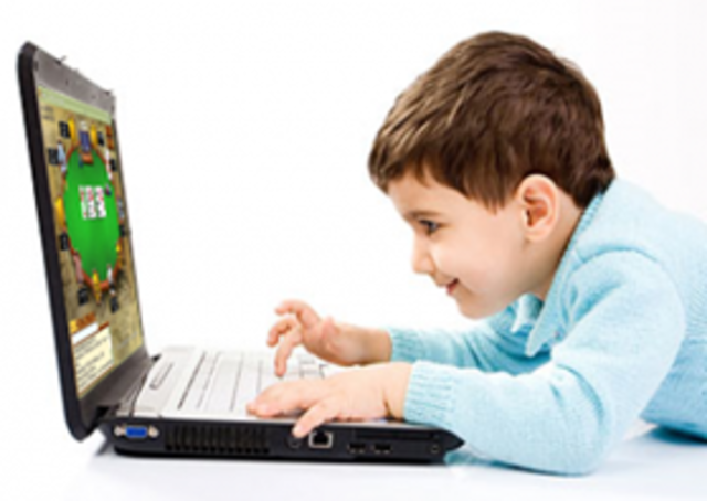 American Amusement Machine Association, et al., v. Teri Kendrick, et al., 244 F.3d 954 (7th Cir. 2001); cert.denied, 534 U.S. 994; 122 S. Ct. 462; 151 L. Ed. 2d 379 (2001):