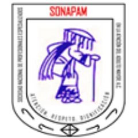 CREACIÓN DEL SONAPAM