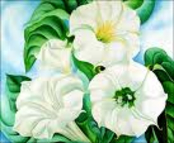 O'keeffe was born