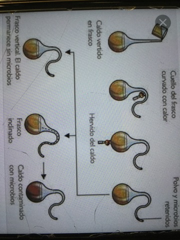 Demostració de Pasteur