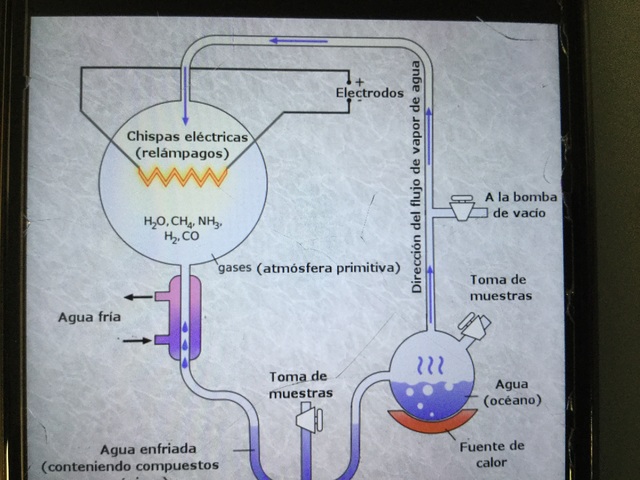 Experiment de Miller