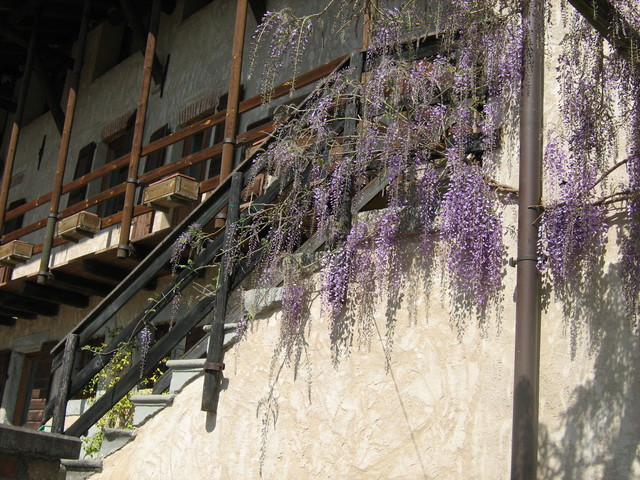 UN FUOCO PER IL MONDO