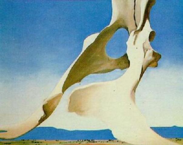 went to new mexico for the first time