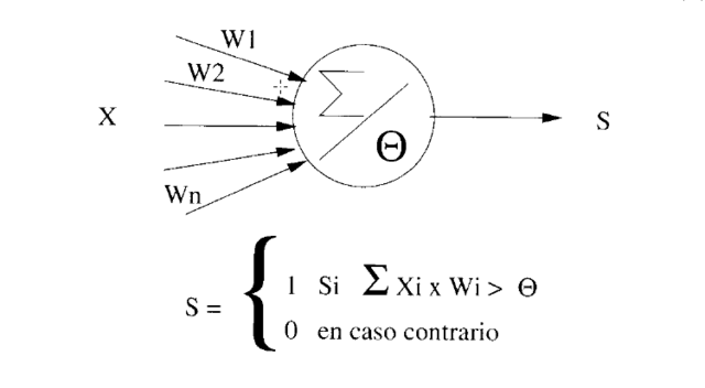 Desarrollo del modelo de la neurona de McCulloch-Pitts