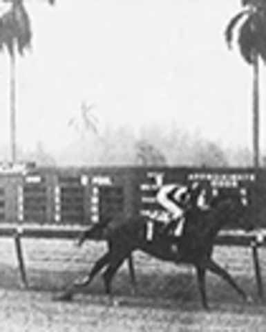 Wins Hutcheson Stakes