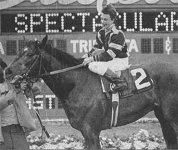 Wins Fountain of Youth Stakes