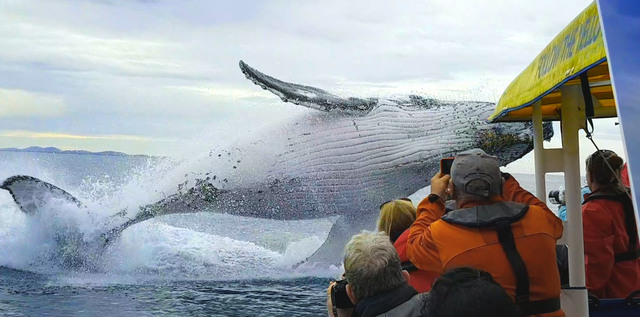 An Adventure to Tell