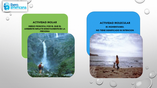 ACTIVIDAD MOLAR Y MOLECULAR