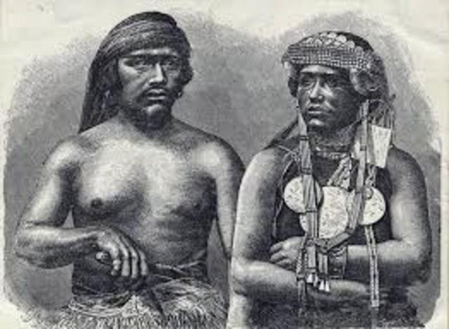 indios araucanos
