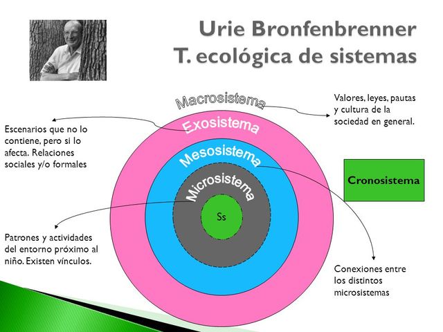 NIVELES DEL MODELO ECONOMICO