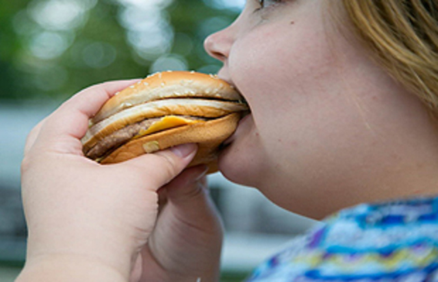 "Estrategia Mundial OMS sobre Régimen Alimentario, Actividad Física y Salud"