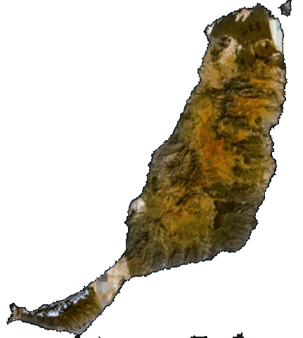 FUERTEVENTURA