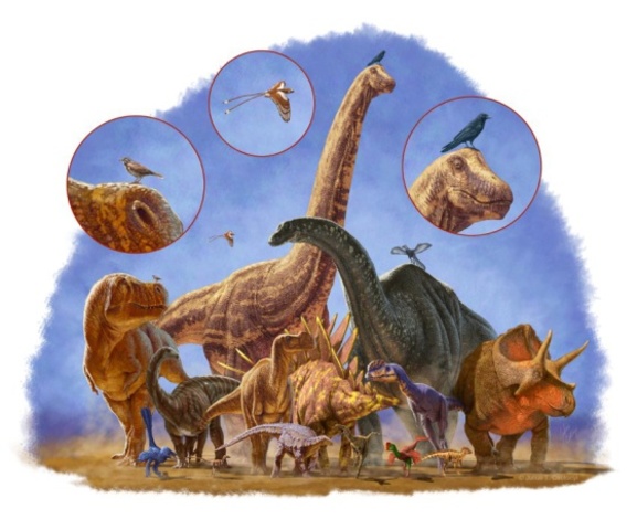 un extraordinario avance de las ciencias naturale/