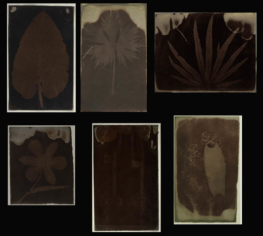 First Female Taken Photo