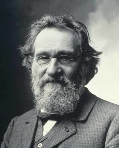 Michel Elie Metchnikoff