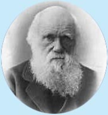 Darwin