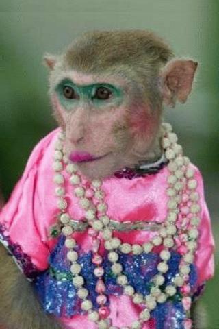 Lie and Disguise in order to change the story line.