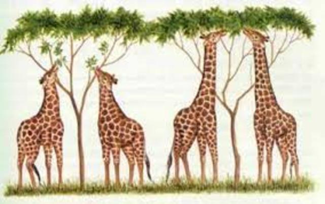 El origen de las especies