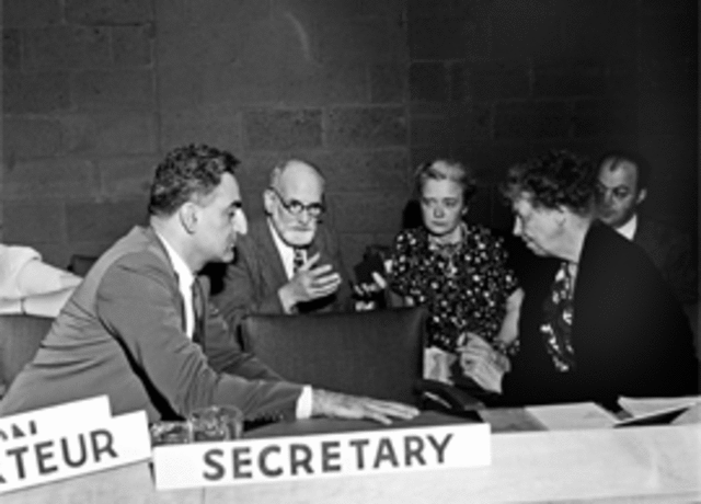 Comisión de las Naciones Unidas (ONU)