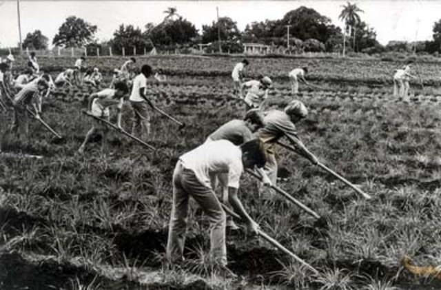 Hacia un cambio de modelo