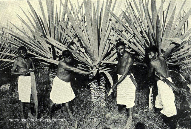 Períodos Económicos de la Revolución Mexicana