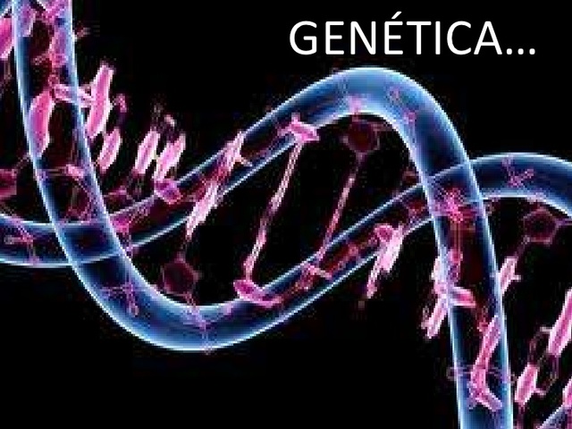 Genética