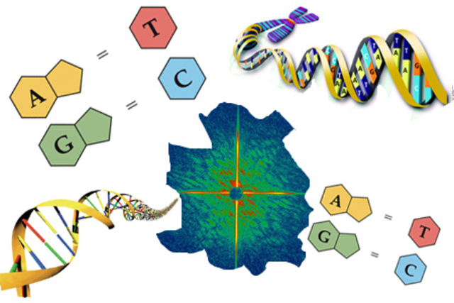 La información genética está en el ADN