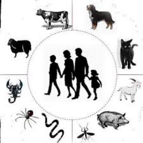 Zoonosis