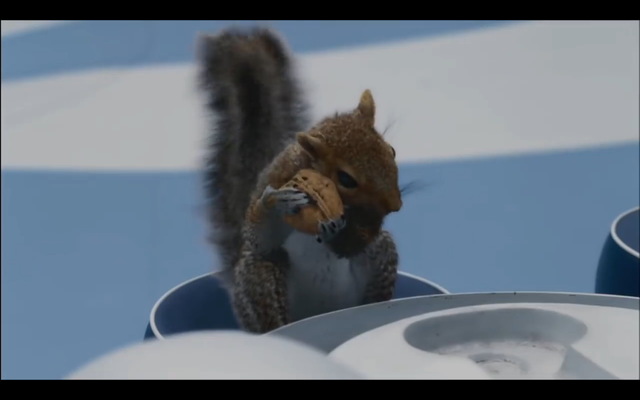 I think that one's got a bad nut.