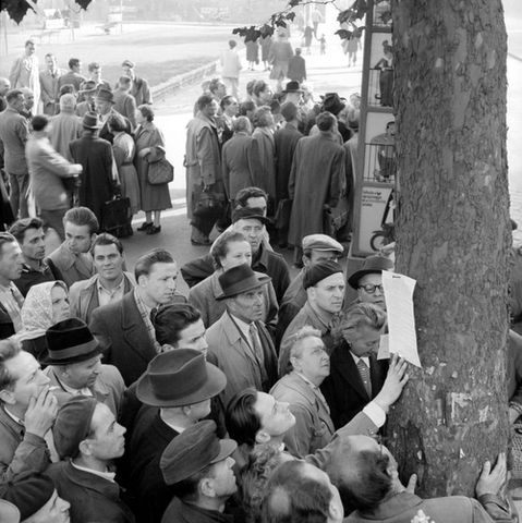 Magyar Egyetemisták és Főiskolások Szövetsége