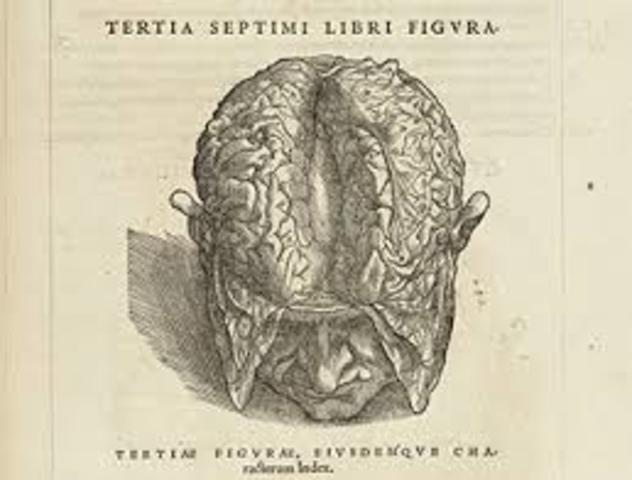 Renaciminto Siglo XVI