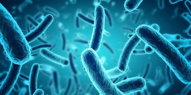 Louis Pasteur, Robert Koch y microorganismos