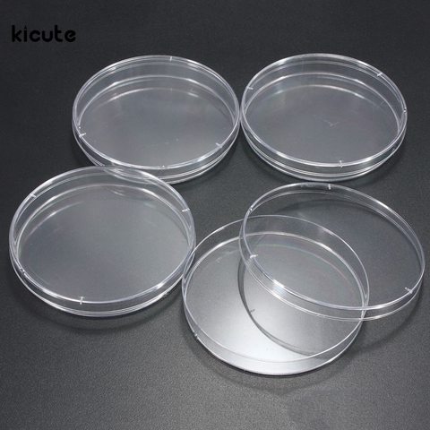 Diseño de la placa de Petri