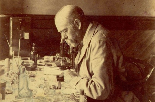 Desarrollo técnicas de cultivo