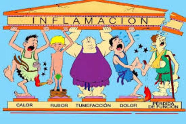 Características de la Inflamación.