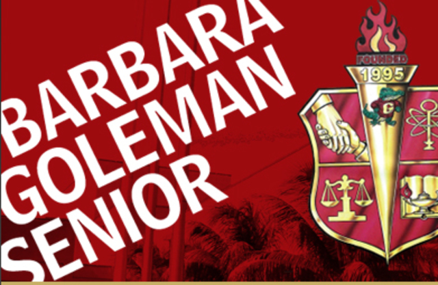 Mi Grado de Bachiller