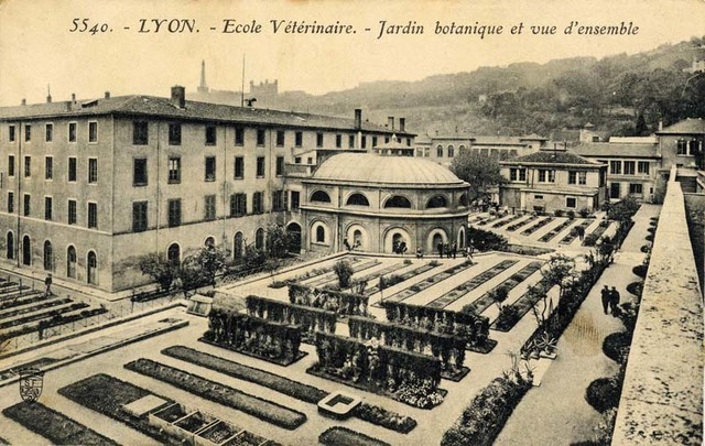 FEB 1, 1761 Primera Escuela de Veterinaria en el mundo