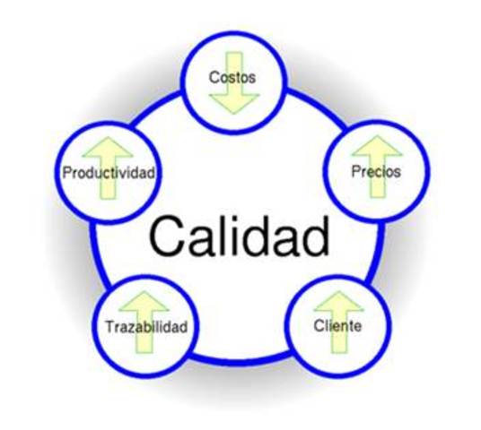 Calidad Total