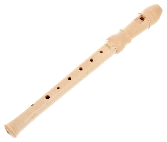I USED TO PLAY THE FLUTE