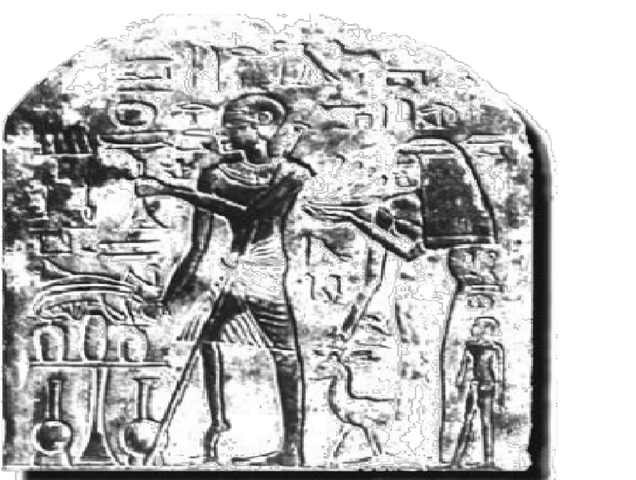 ENFERMEDADES MICROBIANAS