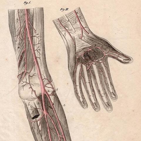 Estudios en Medicina