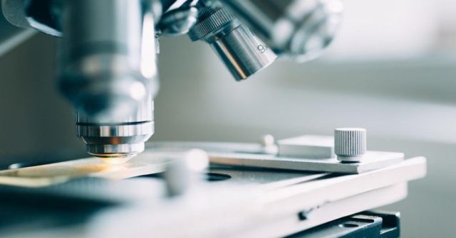 PRIMER LABORATORIO PARA ESTUDIO