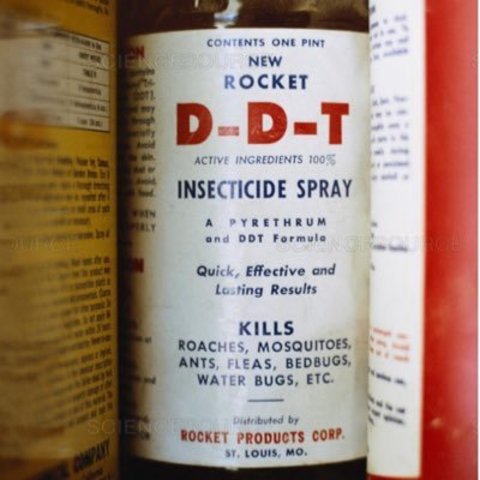 El DDT