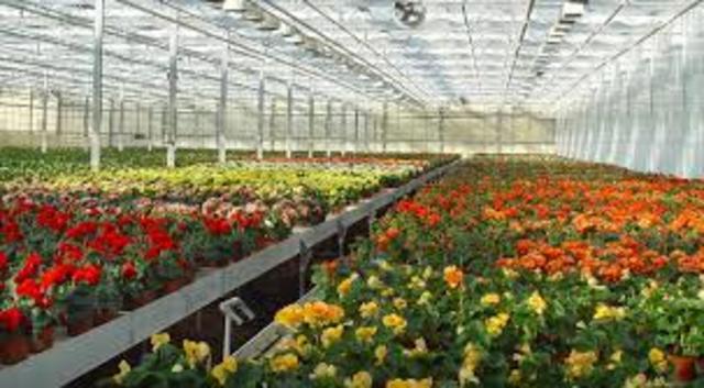 Cultivo de Plantas Y Domesticar Animales