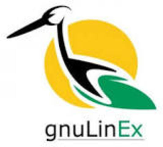 2002: gnulinEX