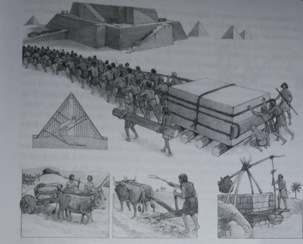 prehistoria hasta los griegos y romanos 300 A.C.