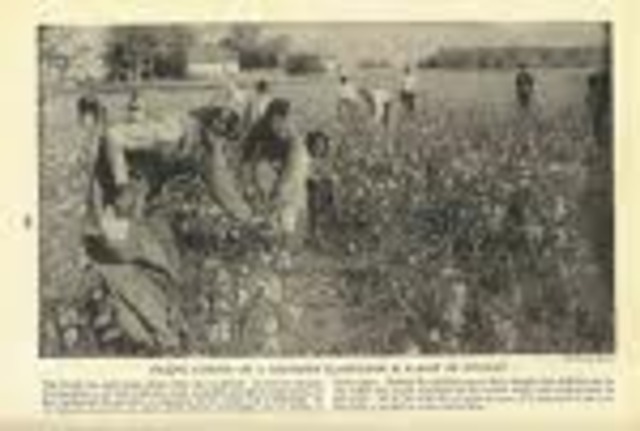 First attempt to escape slavery