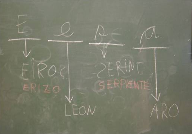 RENACIMIENTO - ILUSTRACIÓN