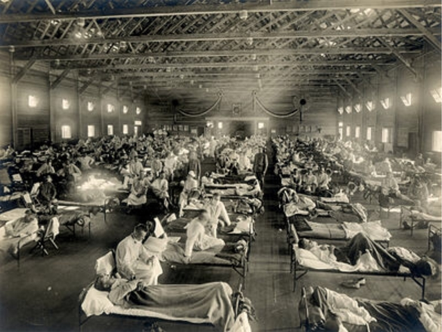 Influenza Epidemic