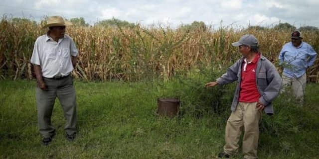 Plan Agrícola de Emergencia.